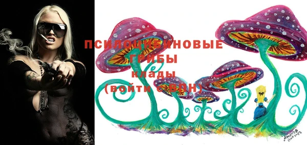 дмт Верхний Тагил